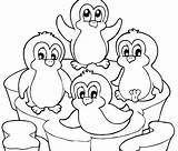 Adelie Penguin Coloring Page At GetDrawings  Free Download sketch template