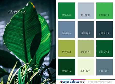 Spring Green Color Palette – Warehouse of Ideas