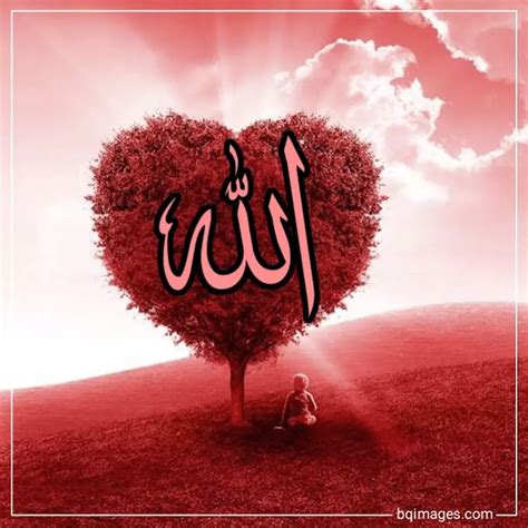 [25+] Allah Beautiful Images | Allah Name DP Pics -(2021) - bqimages ...