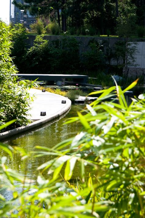 Our Town: Koi Garden on the Waterway in The Woodlands Texas