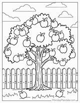 38 Tree Coloring Pages Free PDF Printables sketch template
