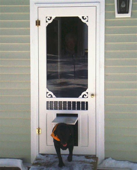 20 things you should to know about Dog screen door | Home Design Ideas