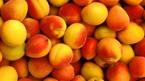 🔥 [60+] Peaches Wallpapers | WallpaperSafari