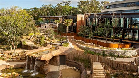 Roar and Snore at Taronga Zoo Sydney - FirstClass Travel Specialist