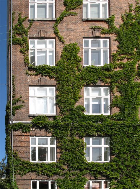 Green wall - Copenhagen | Sortedan Dossering, Copenhagen (20… | Flickr