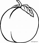 Peach Coloring Pages 8 Free Printables  ColoringAll sketch template