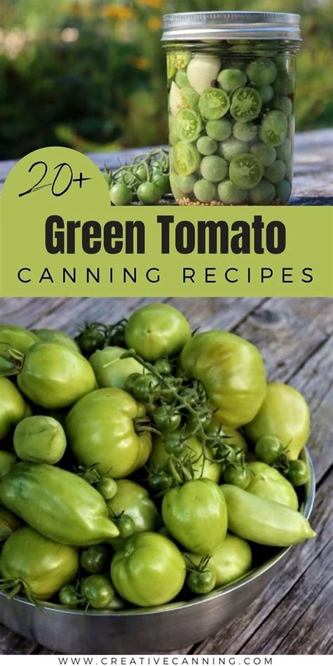 20+ Green Tomato Canning Recipes in 2023 | Canning tomatoes recipes, Canning tomatoes, Green ...