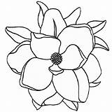 Magnolia Flower Coloring Page sketch template