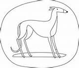 Italian Greyhound coloring Page  Free Printable Coloring Pages sketch template