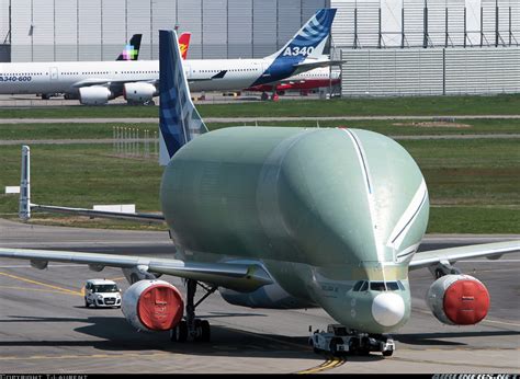 Airbus A330-743L Beluga XL - Untitled (Airbus Transport International) | Aviation Photo #4963577 ...