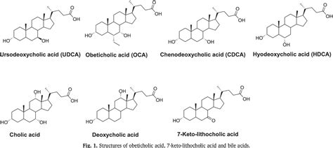 A facile synthesis of ursodeoxycholic acid and obeticholic acid from ...