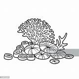 Corals Grow On Sea Sponges Coloring Book Linear Drawing Isolated  sketch template