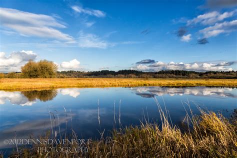 Ridgefield National Wildlife Refuge – View 2 ...