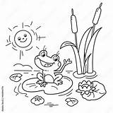 Pond Coloring Pages Adult sketch template