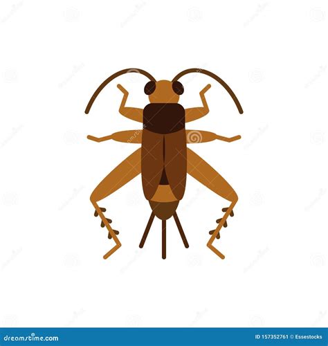 Cricket Bug Grig Insect Single Flat Vector Icon Stock Vector - Illustration of cute, animal ...