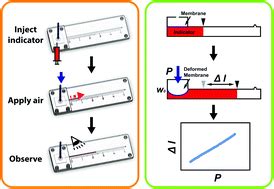 A microfluidic method to measure bulging heights for bulge testing of polydimethylsiloxane (PDMS ...