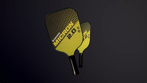 ArtStation - Pickleball Bat