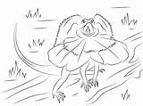 Green Basilisk Lizard Coloring Page sketch template