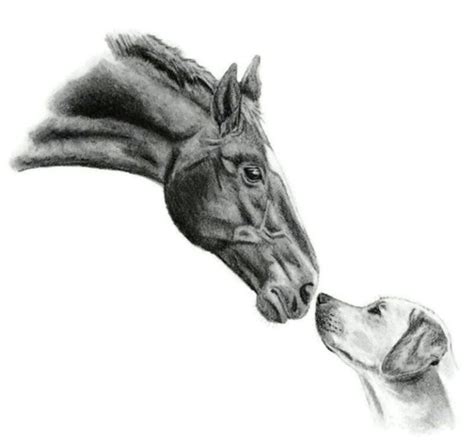 Horse and Dog 8x10 Sketch Art Hand Drawn Pencil Sketch Portrait 2 ...