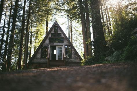 ITAP of a dream cabin in the Redwood forest : r/itookapicture