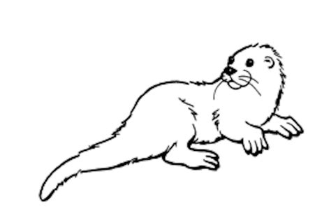 Otter #10735 (Animals) – Free Printable Coloring Pages