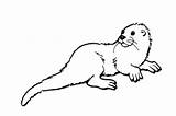 Coloring Pages Of Otters sketch template