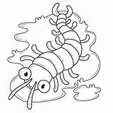 Centipede Coloring Page sketch template