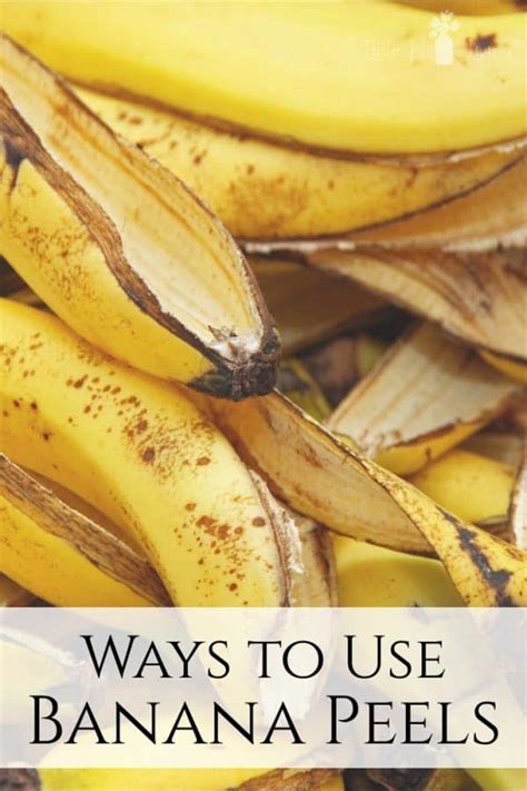 Amazing Banana Peel Uses - Ways to Use Banana Peels