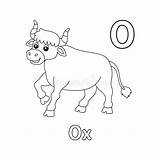 Ox Coloring Page sketch template