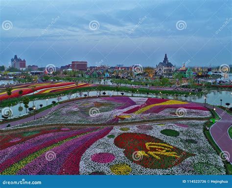 Jiangsu Yancheng: La Fotografía Aérea De 30 Millones De Tulipanes En ...