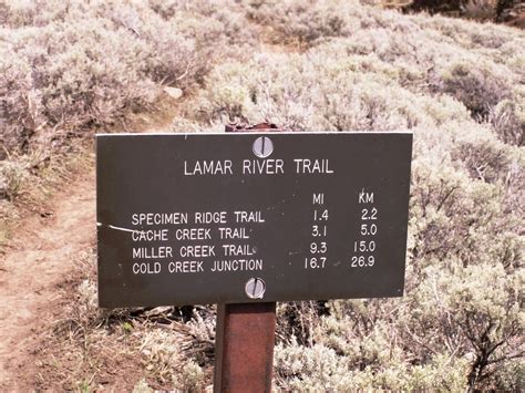 Brian and Ashley's Hiking Blog!: Lamar River Trail (Yellowstone National Park)