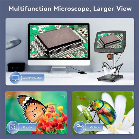 How To See Cells In A Microscope?