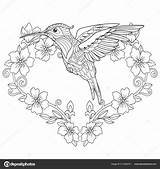 Hummingbird Coloring Pages A Delightful Activity For All Ages sketch template