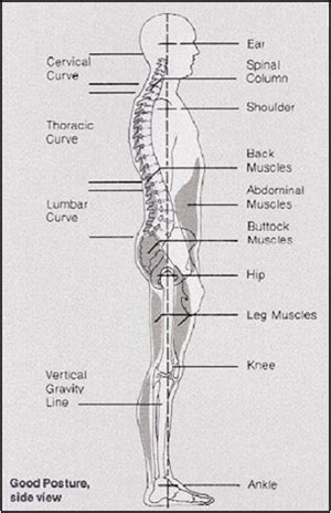 Injury Prevention and Body Mechanics - Physiopedia