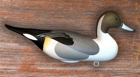 Pintail Drake - Bodt DecoysBodt Decoys Decoy Carving, Bird Carving, Duck Calls, Duck Decoys ...