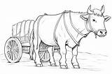 Ox Coloring Pages  25 Free Drawings To Print And Color sketch template