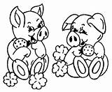 Realistic Pig Coloring Pages  Cool sketch template
