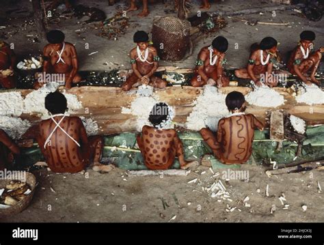 Yanomami food hi-res stock photography and images - Alamy