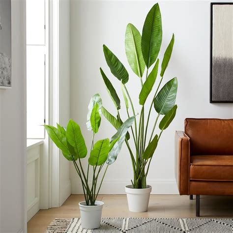 Faux Potted Bird of Paradise Plant | West Elm