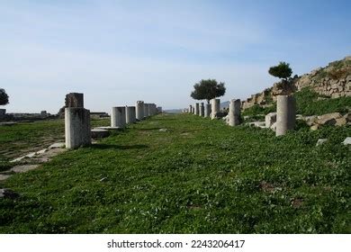 24.180 Ephesus Ruins Bilder, Stockfotos und Vektorgrafiken | Shutterstock