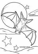 Fledermaus Ausmalen Ausmalbilder Ausdrucken Ausmalbild Malvorlagen  sketch template