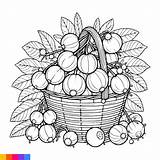 Premium Vector  Fruit Basket Line Art Illustration For The coloring sketch template