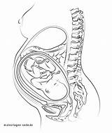 Pregnancy Coloring Pages sketch template