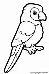 Parrot Coloring Pages sketch template