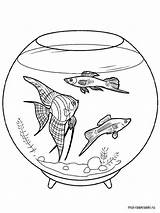 Aquarium coloring Pages sketch template