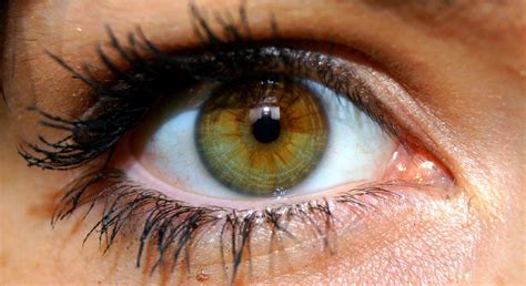 Half Brown Half Green Eye | Evelyn Rose | Flickr