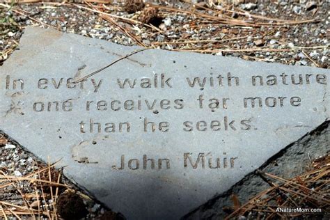 Yosemite John Muir Quotes On. QuotesGram