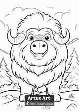 Musk Ox Coloring Page sketch template