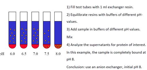 Anion exchange chromatography 하기 전 > BRIC