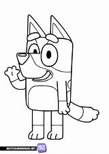 Colouring Page Bluey  Bandit Free Printable coloring Pages sketch template